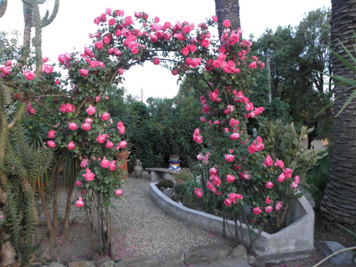 גאסה Villa Ingrid מראה חיצוני תמונה